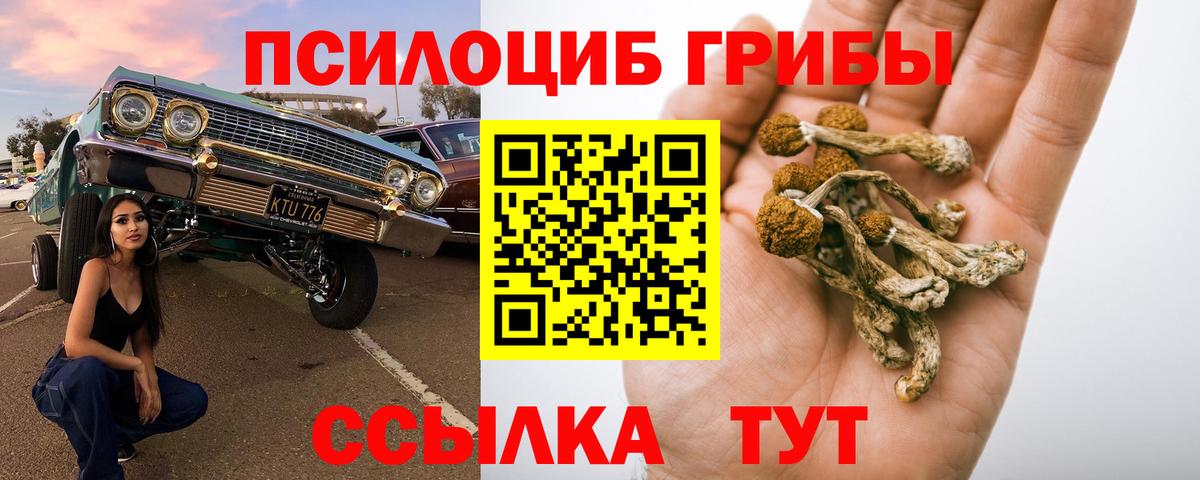Свободный  Галлюциногенные грибы мицелий  Вход с VPN 